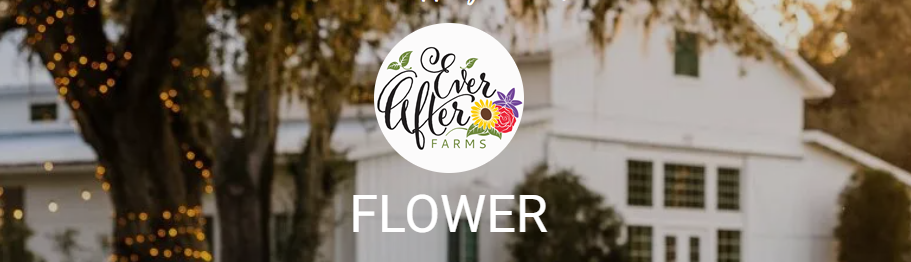 The Wedding Website of Laura Jayne Long-Greatorex and Benjamin Scott Cockerham