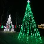Buhl Park Holiday Light Display