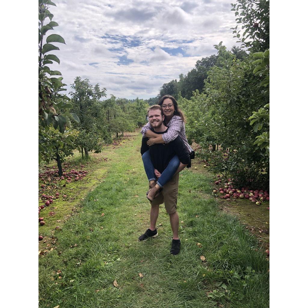 More apple picking