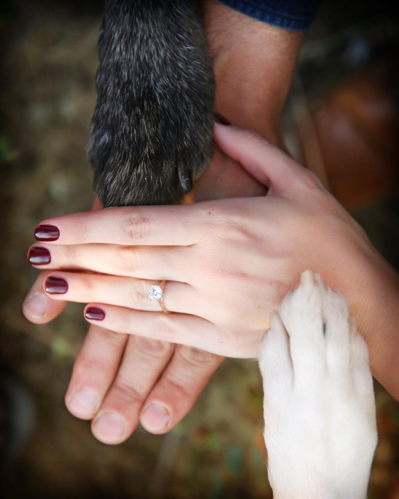 The Wedding Website of Hannah Corbett and Tanner Richman