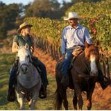 Wine Country Trails by Horseback