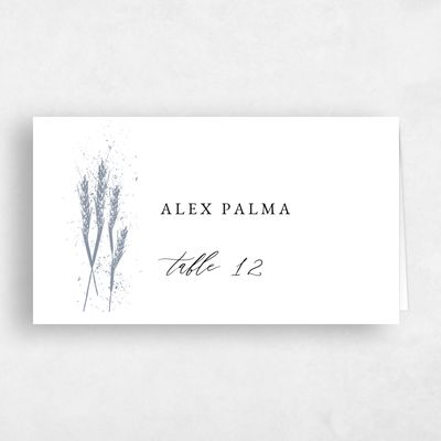 Periwinkle Gray, Grey Wedding Place Card - Alder
