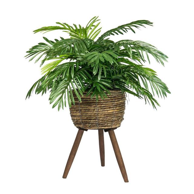 30" x 18" Artificial Phoenix Palm Plant in Basket Stand - LCG Florals