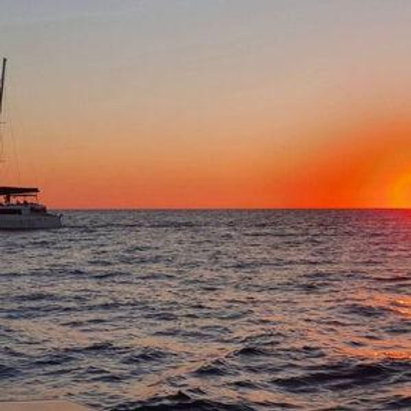 Catamaran Tour