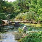 Zilker Botanical Garden