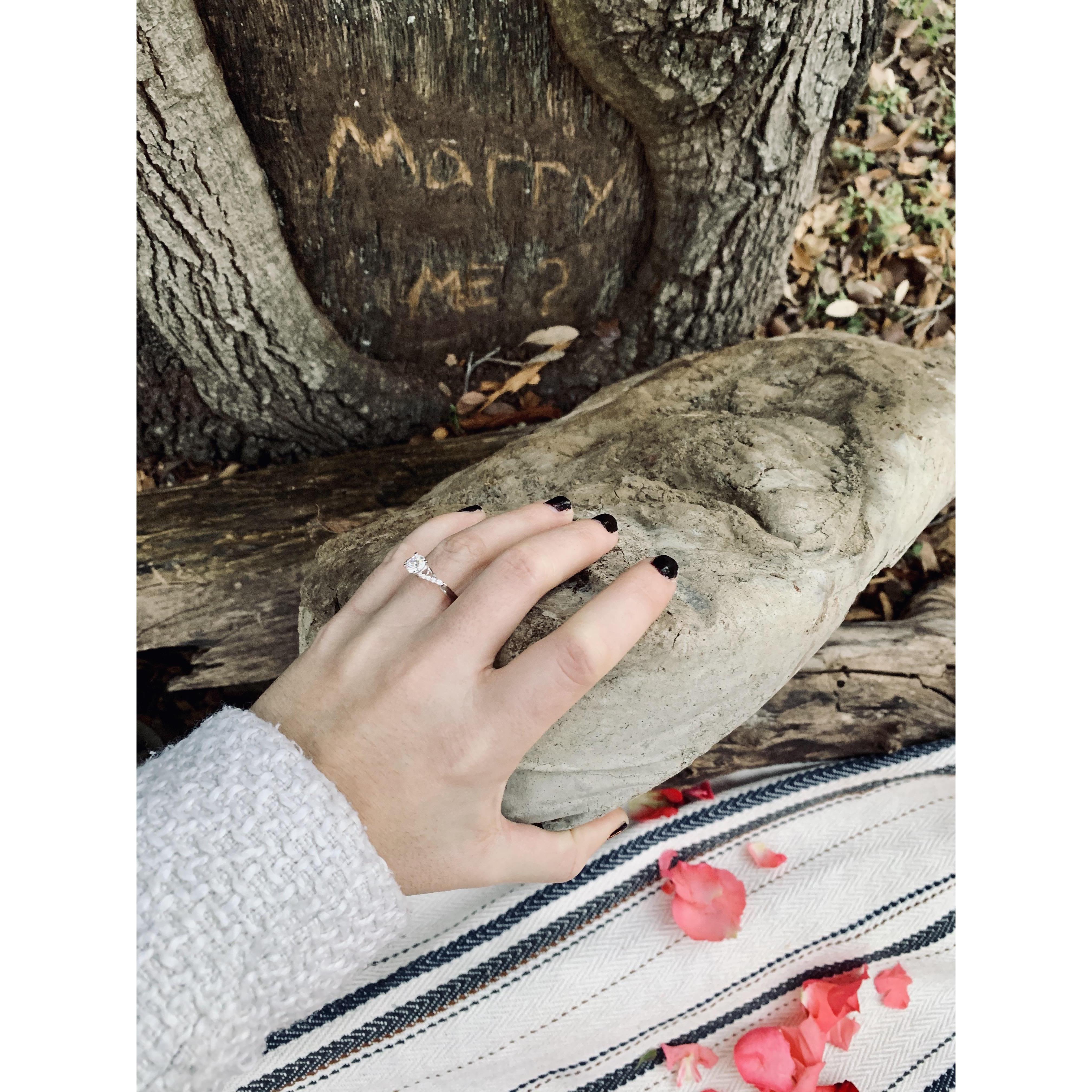 The proposal!