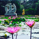 Brookgreen Gardens