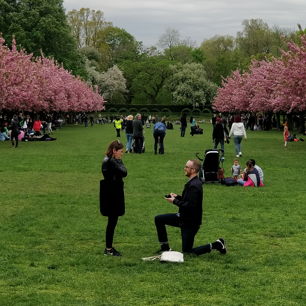 Zack's proposal in the Brooklyn Botanic Gardens, May 2018