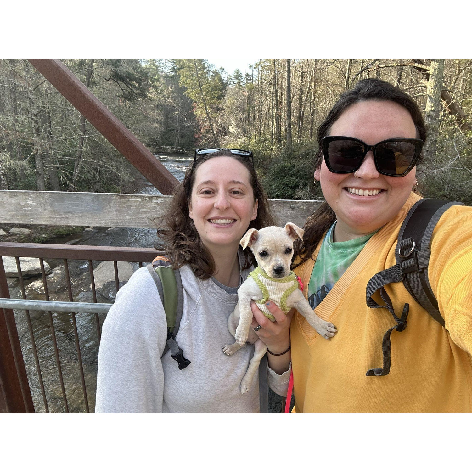 First hike with Chica in Asheville, NC.
