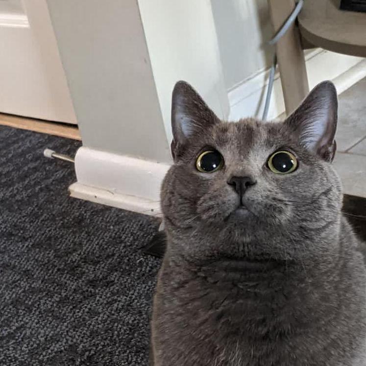 Delilah