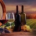 Wineries & Vineyards
