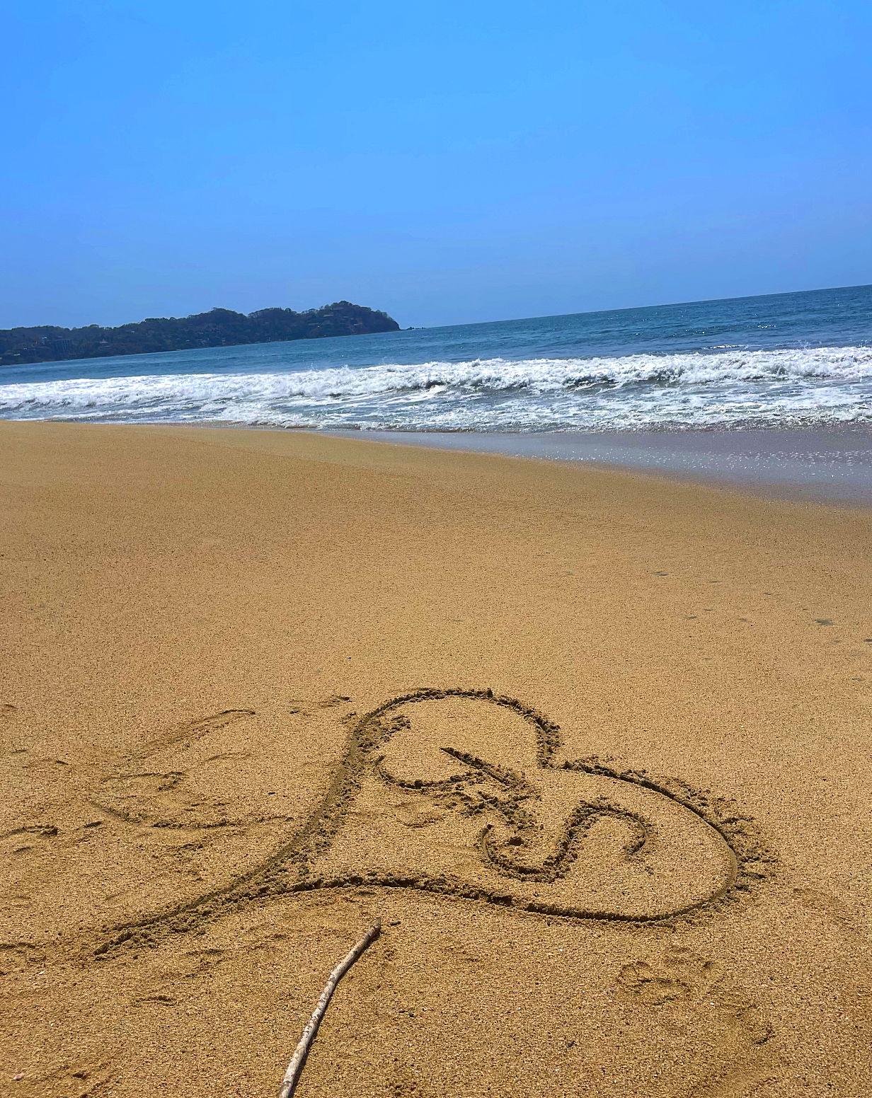 The Wedding Website of Shane Freyberger and Julianna Lopez