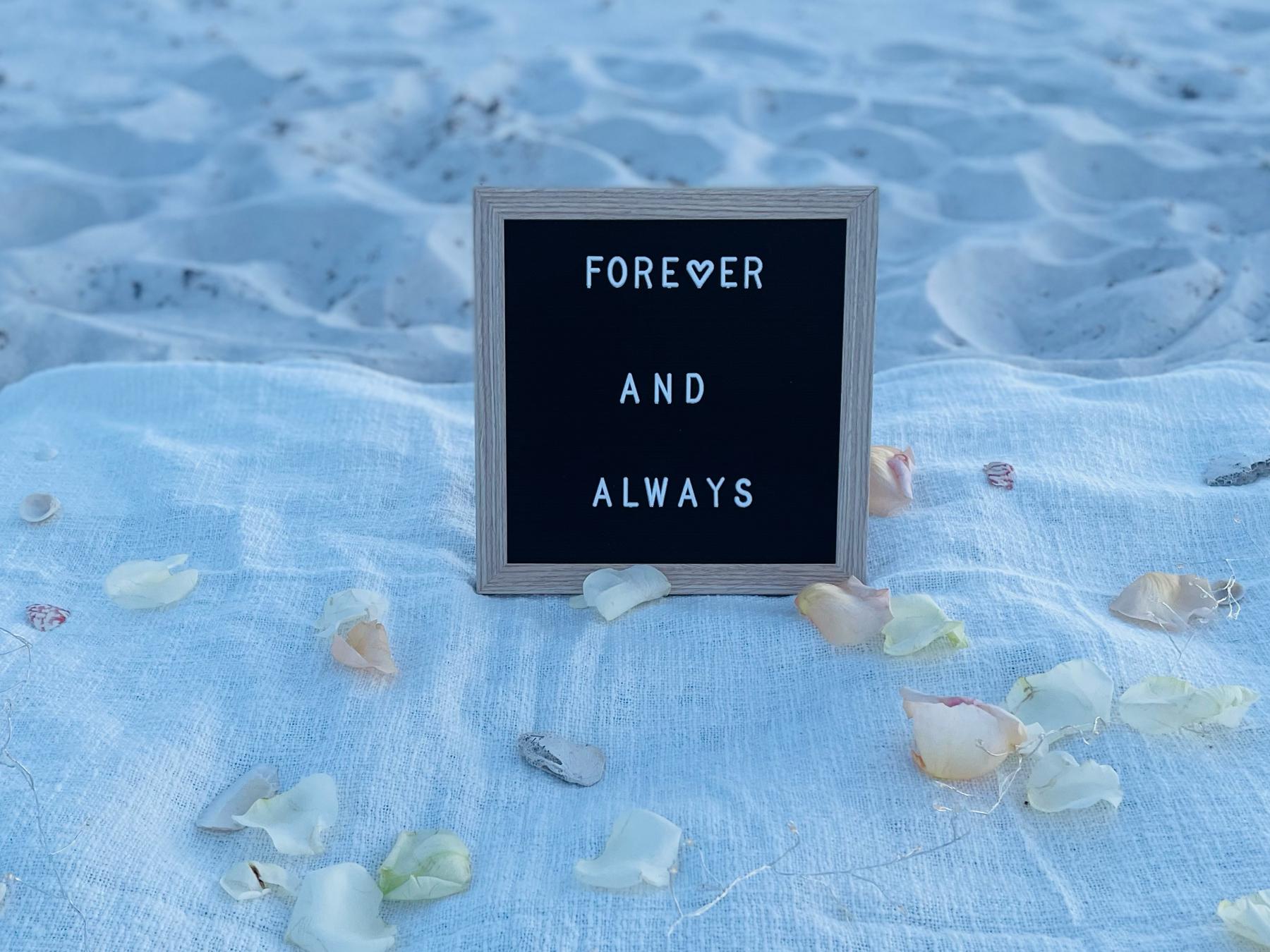 The Wedding Website of Steven Fox and Niki Papageorgopoulos