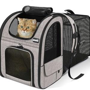 Pair of cat backpacks