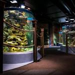 Greater Cleveland Aquarium