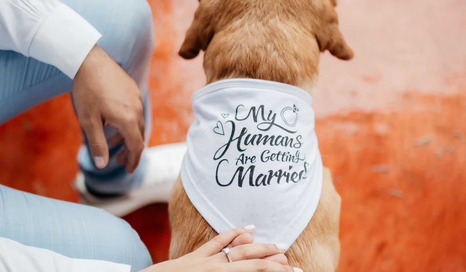 Footer image
