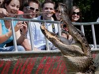 Cajun Encounters Tour Company