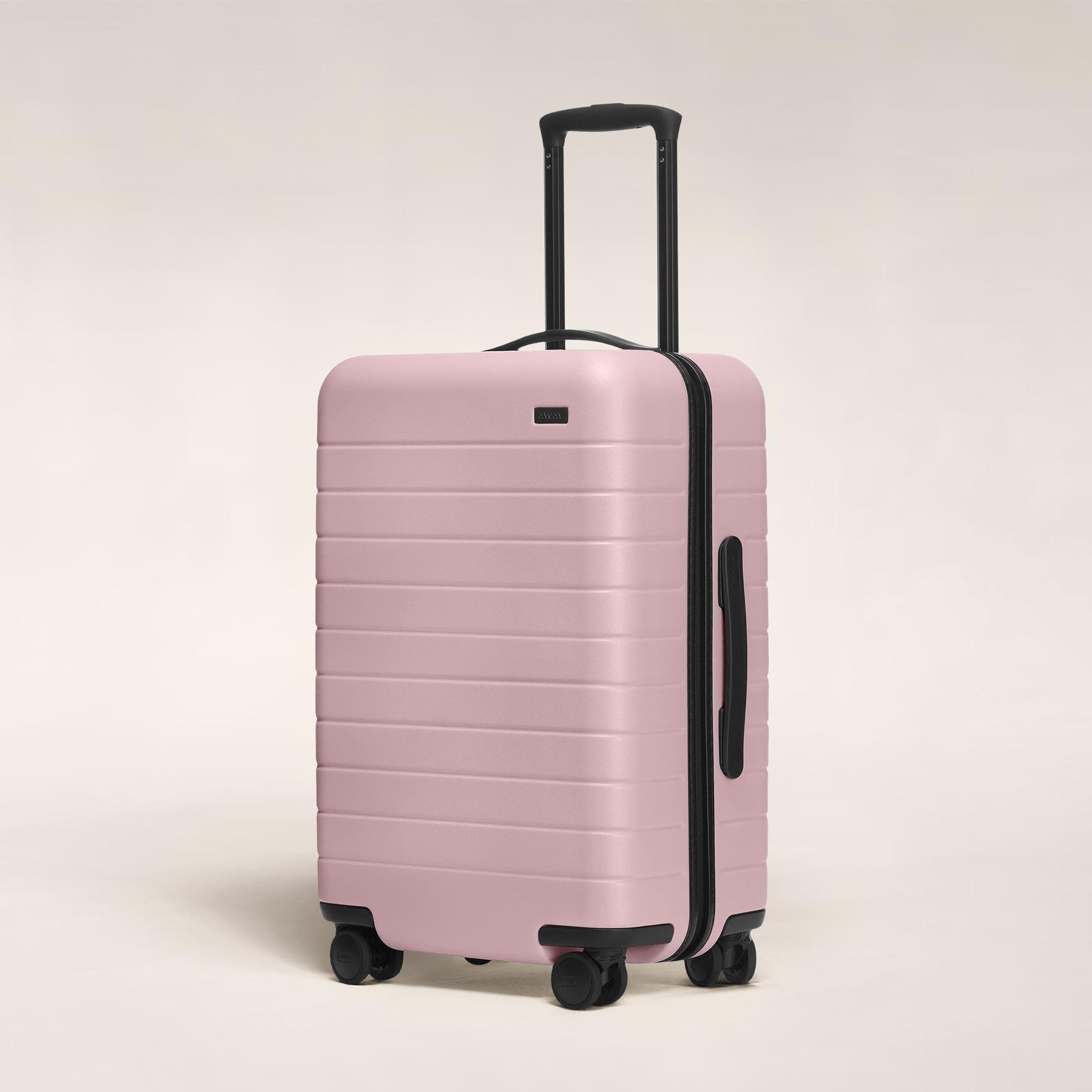 The Bigger Carry-On in Blush with USB Charger