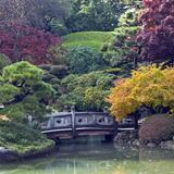 Brooklyn Botanic Garden
