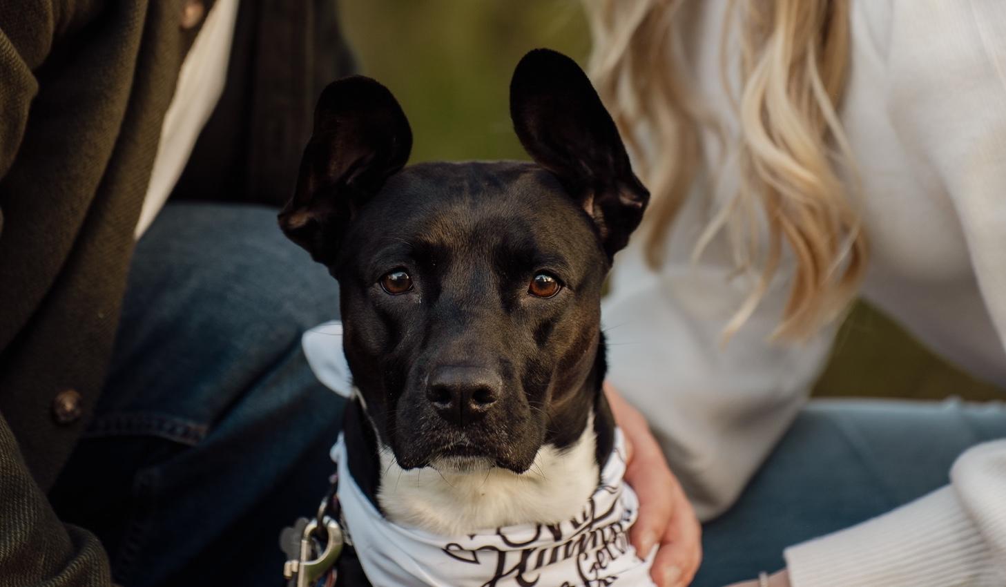 The Wedding Website of Melissa Graham and Stefan Arch