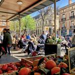 Carmes Farmers' Market