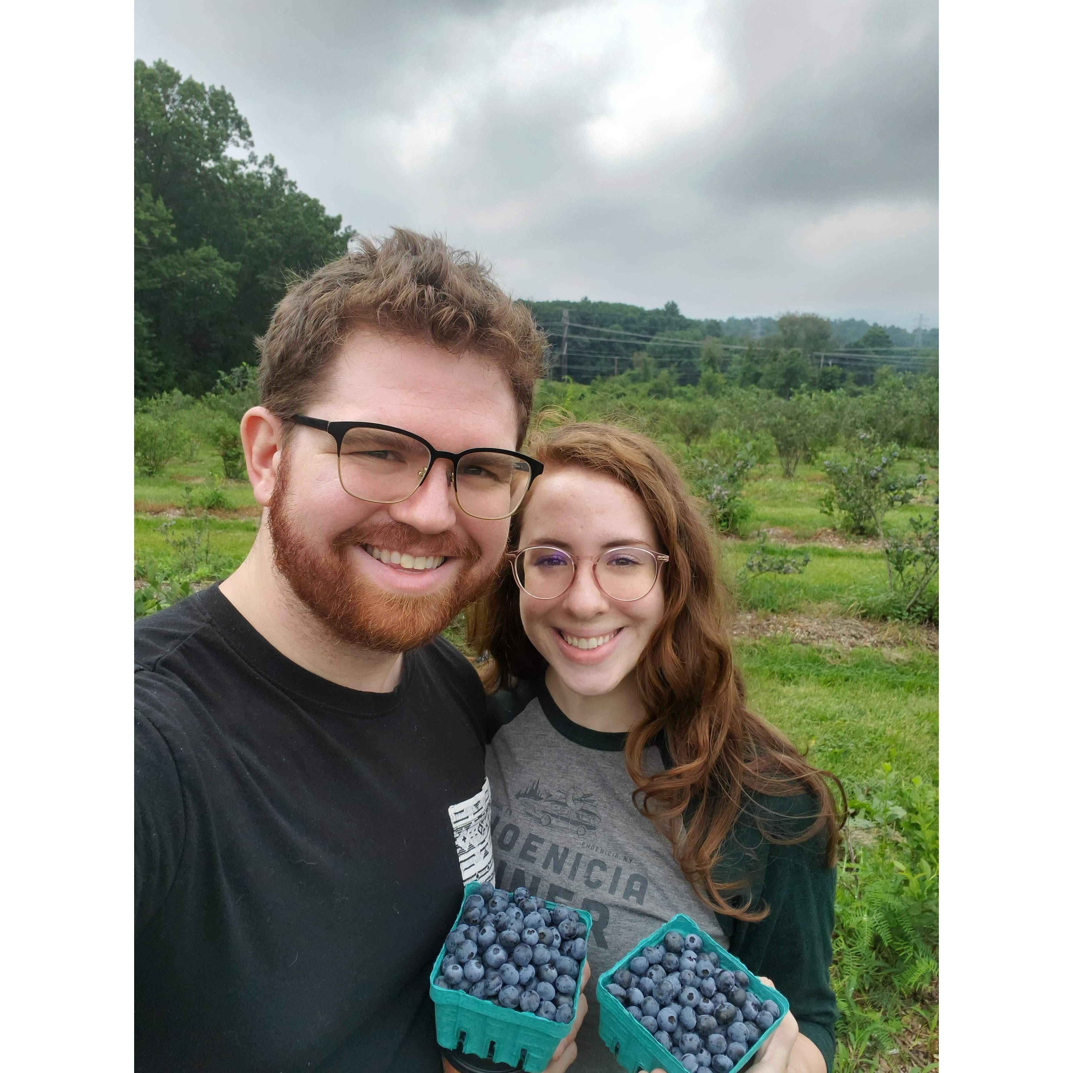 Enjoying some summer blueberry picking