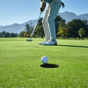 Golf Putter
