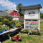 Wightman Farms