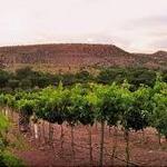 Oak Creek Vineyards & Winery