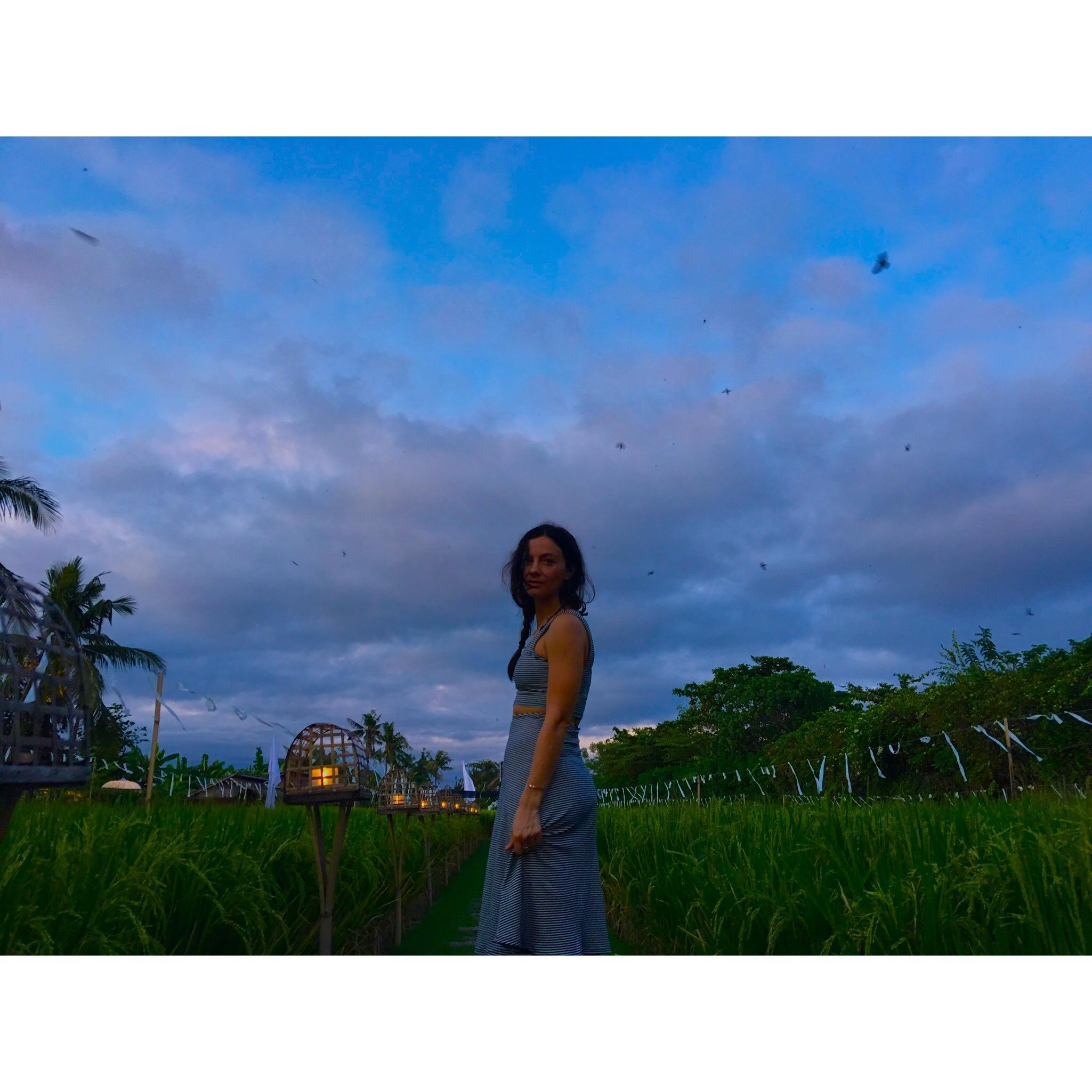 Bali magic; Bali, 2016