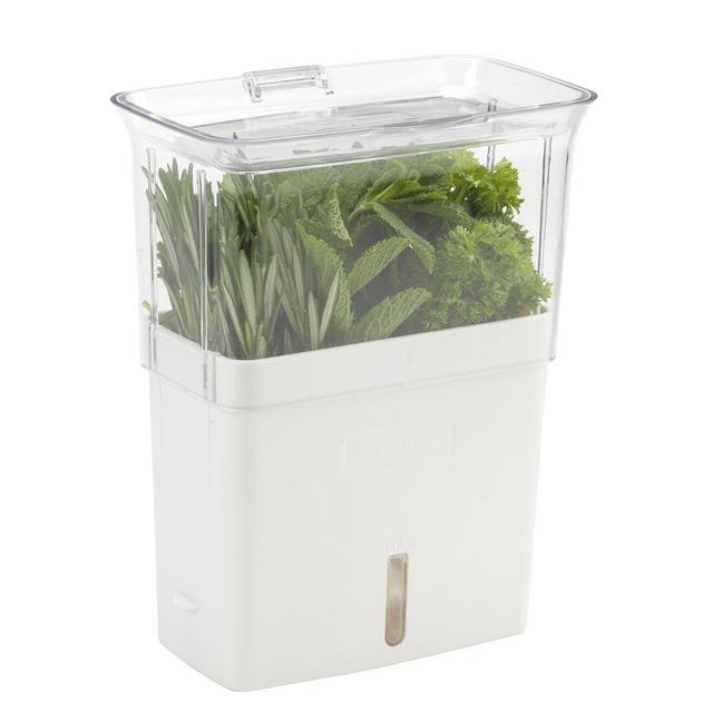 Cole & Mason - COLE & MASON Fresh Herb Keeper, Container, Clear