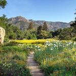 Explore Santa Barbara Botanic Garden