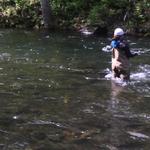 Salmon Fishing - Bethka Style