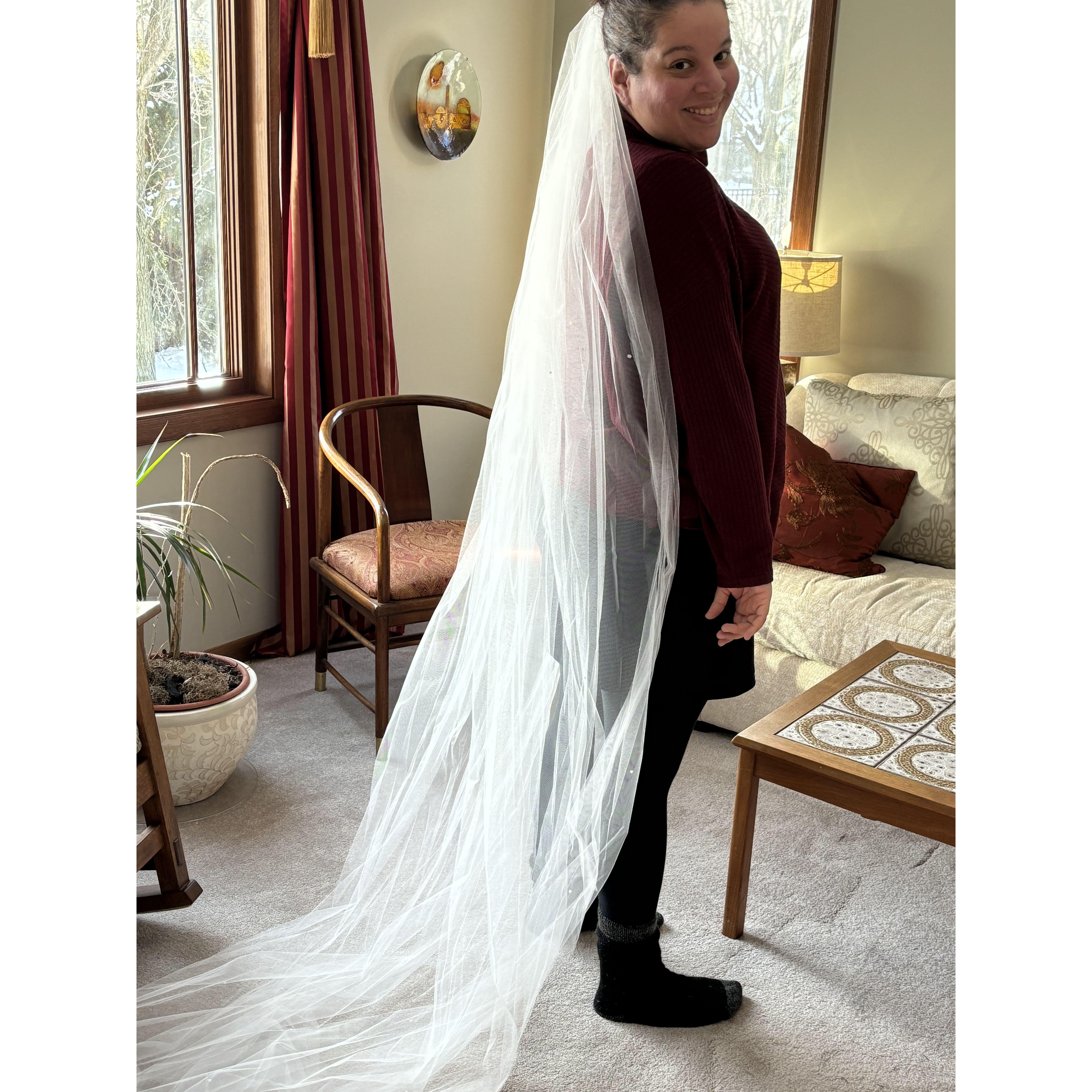 Cousin Amy's veil arrived from Florida!  "Something borrowed"