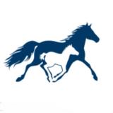 Kentucky Horse Park