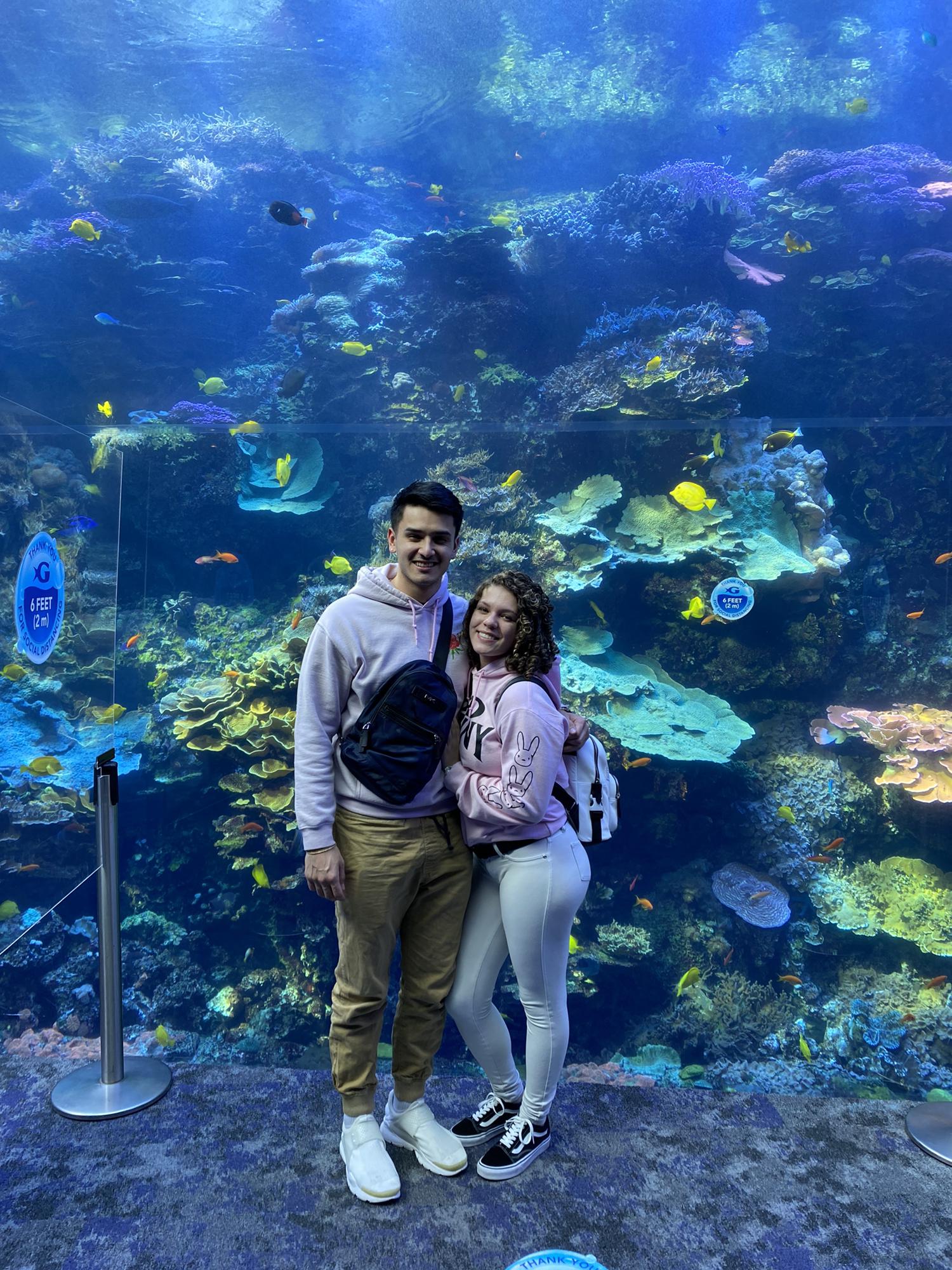 Atlanta Georgia’s Aquarium!