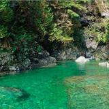 Lynn Canyon & Suspension Bridge