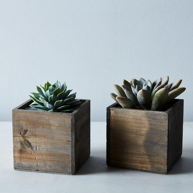 DIY Succulent and Wood Planter (Set of 2)