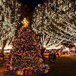 St. Augustine Night of Lights