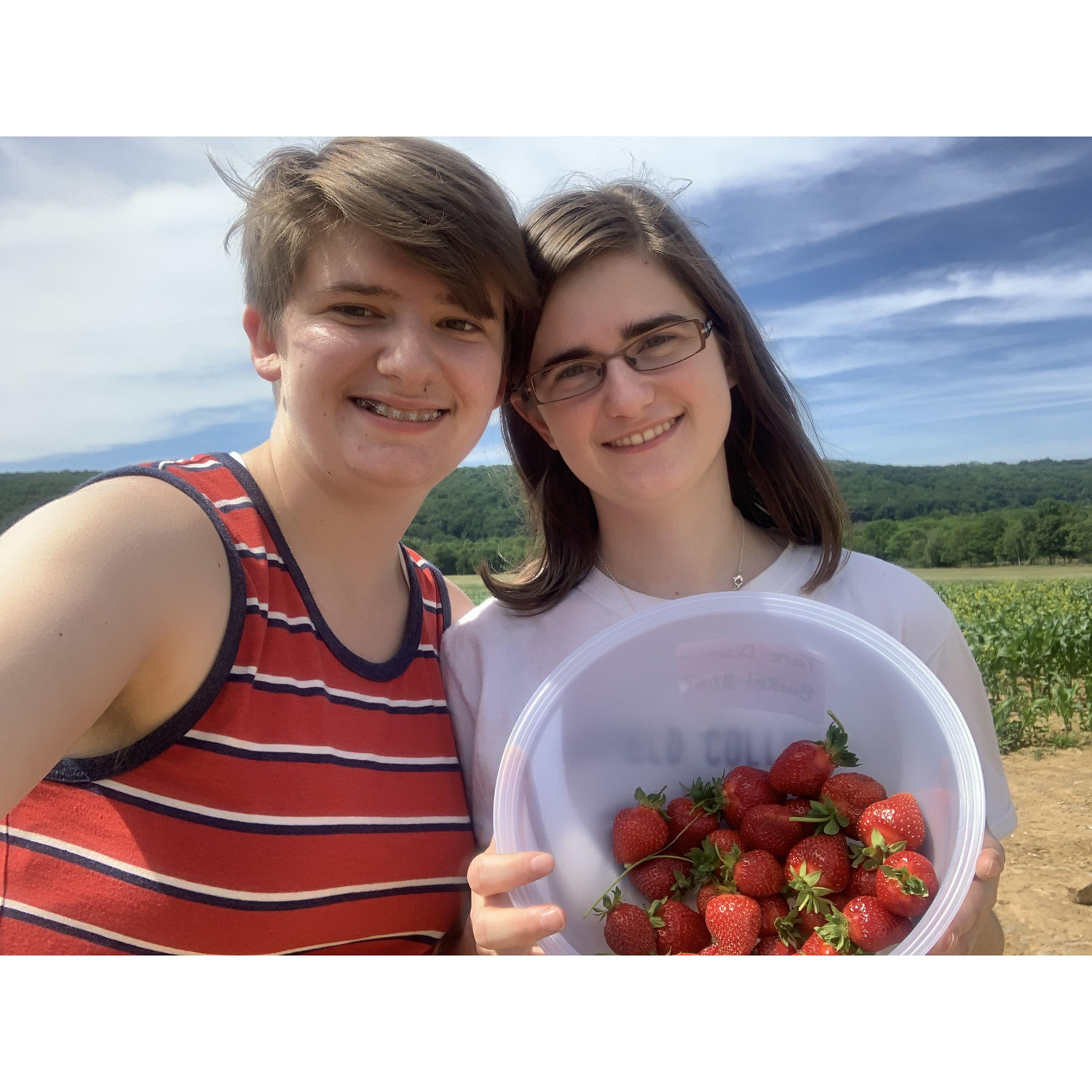Strawberry picking in New Jersey