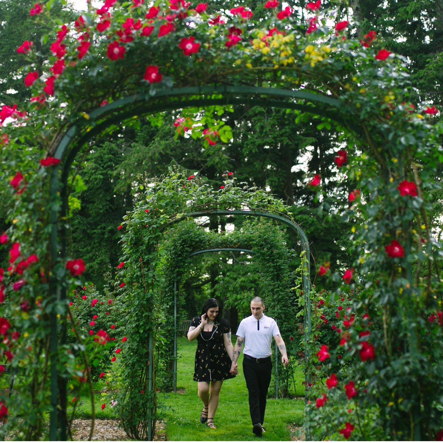 Lyndhurst Mansion rose garden in Tarrytown NY <3
photo credit: the masterful Jia, at www.frameyourlove.com