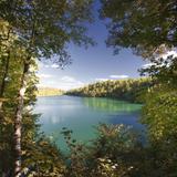 Gatineau Park