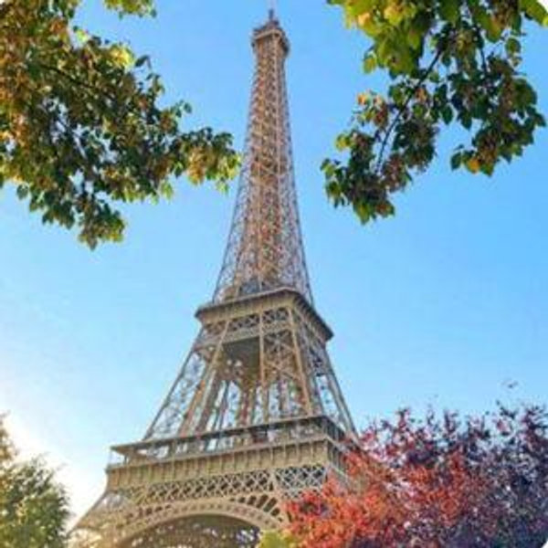 Go to the top of the Eiffel Tower