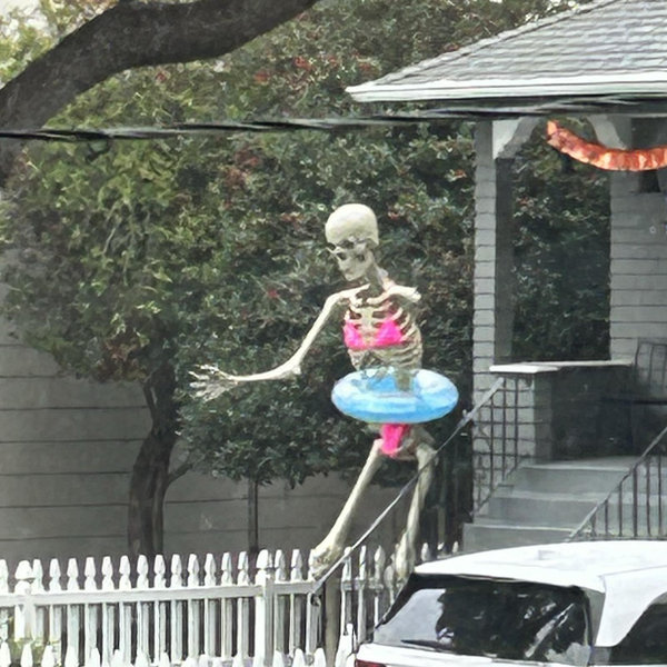 Giant Skeleton Fund