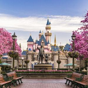 (credit card fee) Disney Mini-Moon