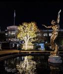 The Americana at Brand