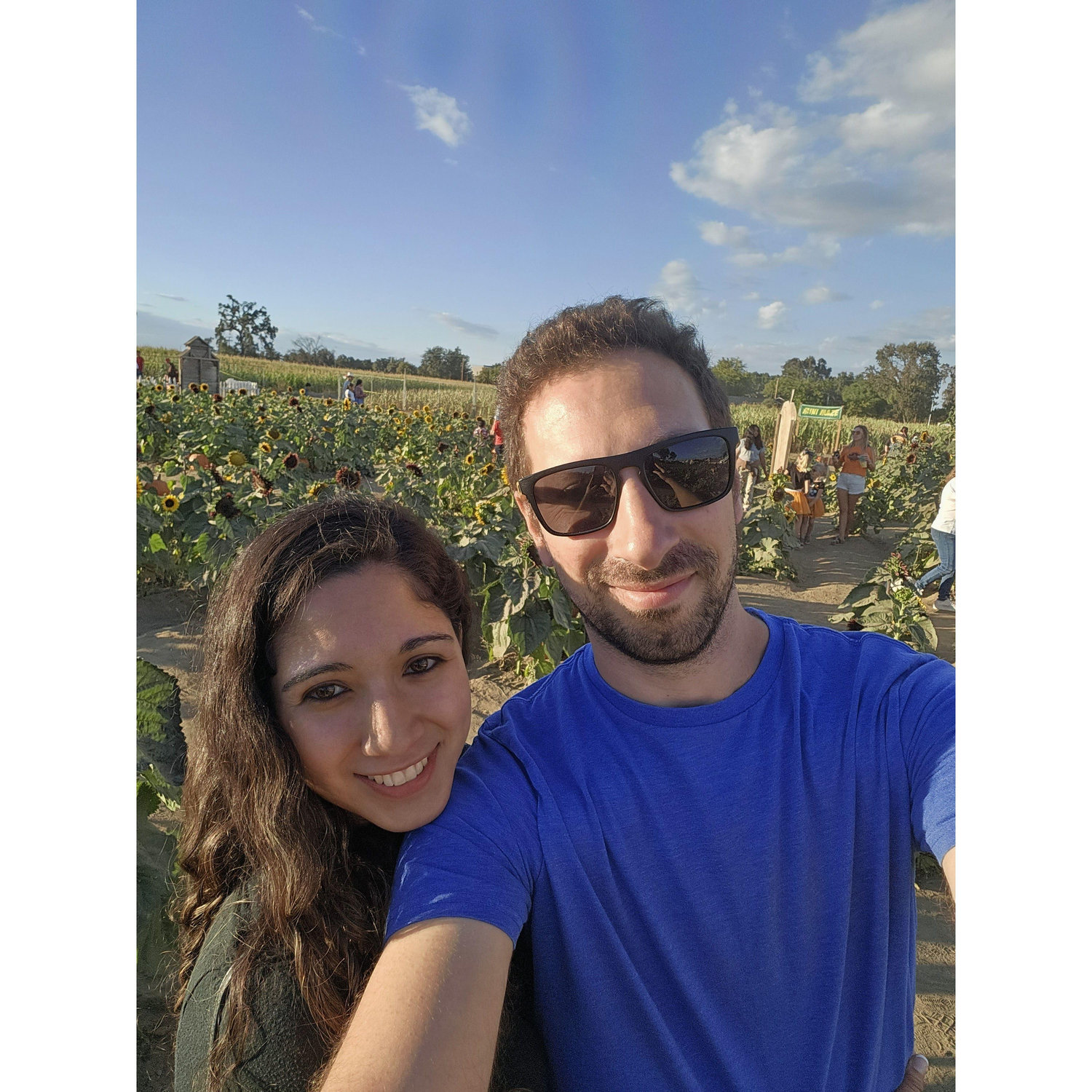 Pumpkin picking.