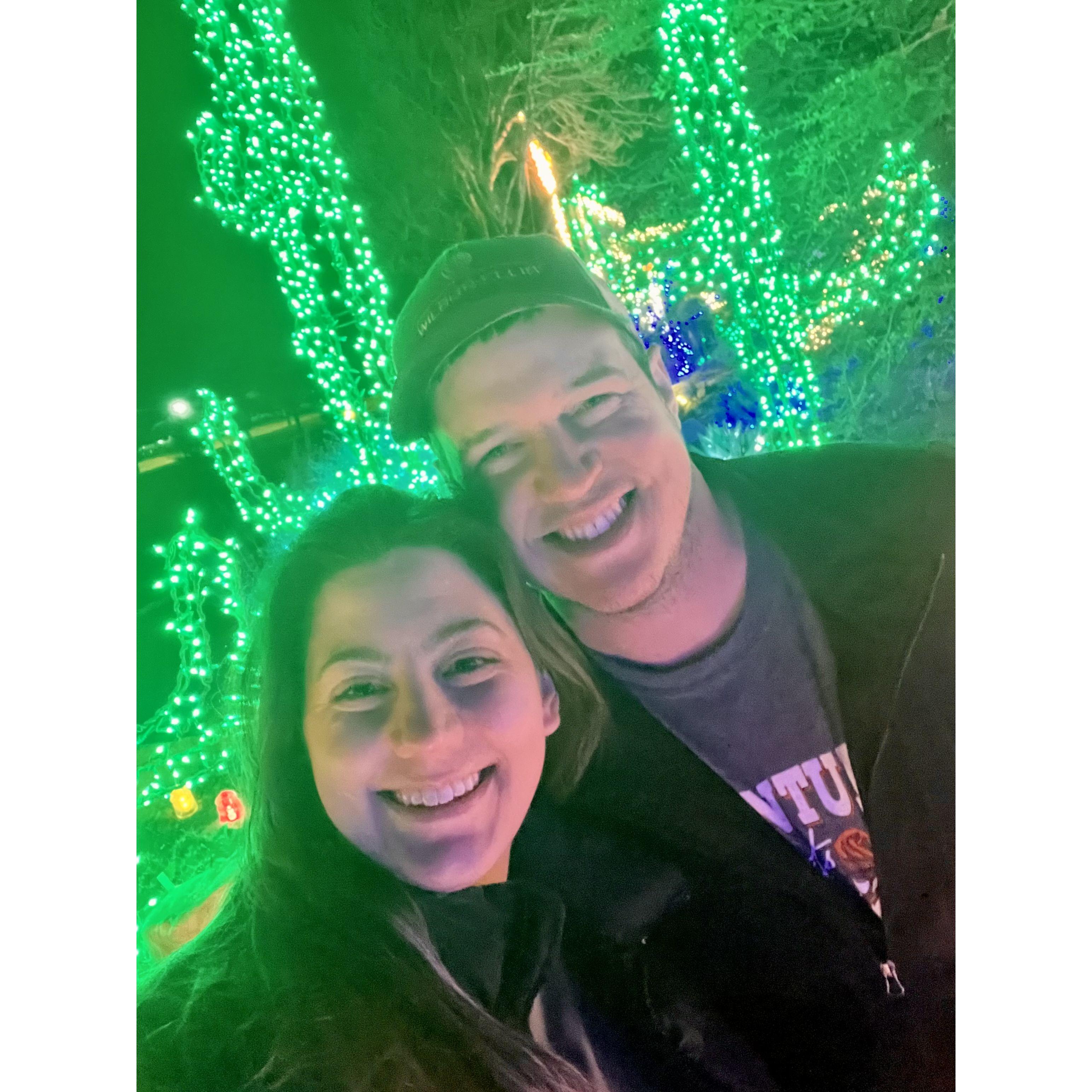 Christmas at the Botanical Gardens