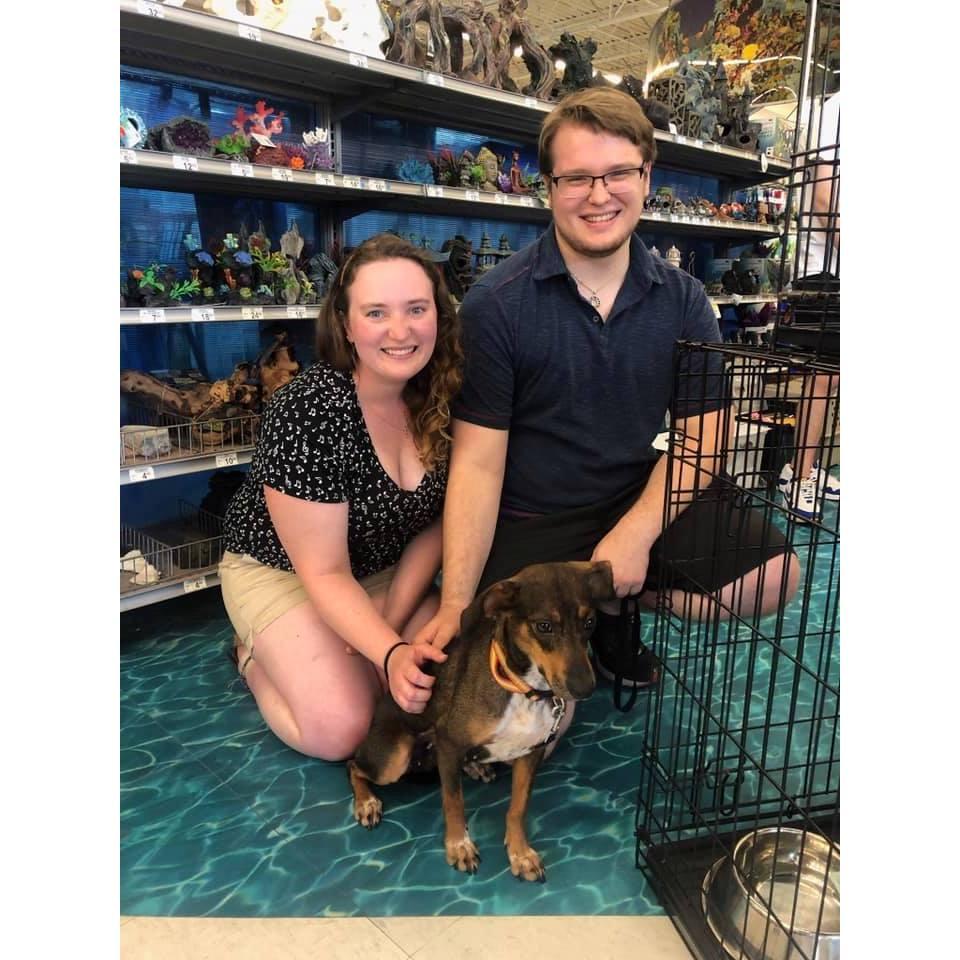 Back when we adopted Sadie in August 2019!