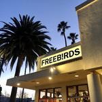 FreeBirds!